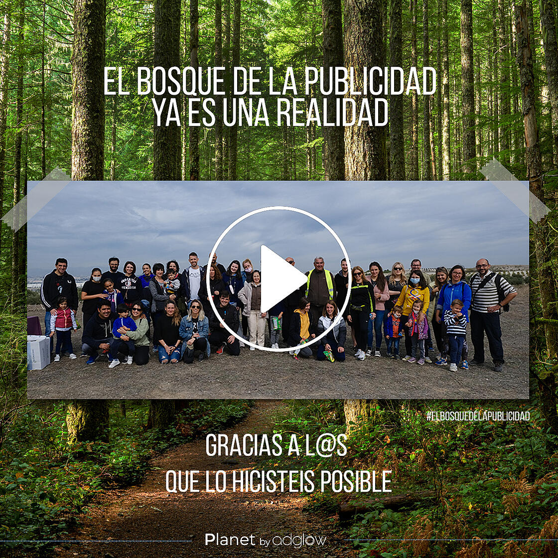 elbosque-video-resumen